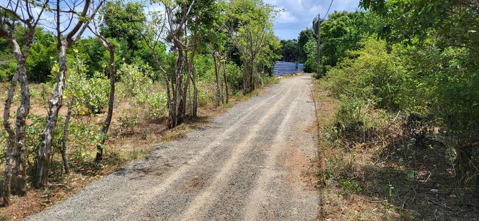 Land for sale in Thellippalai