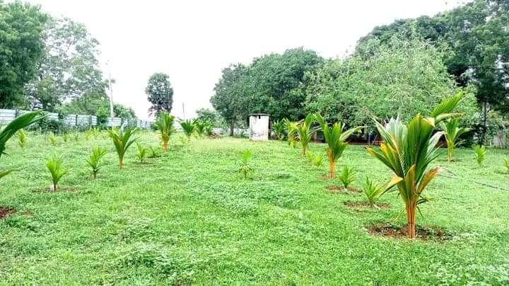 Agricultural Land For Sale in Kilinochchi