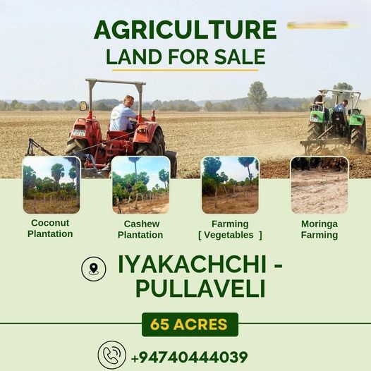 Land for Sale in Iyakkachi