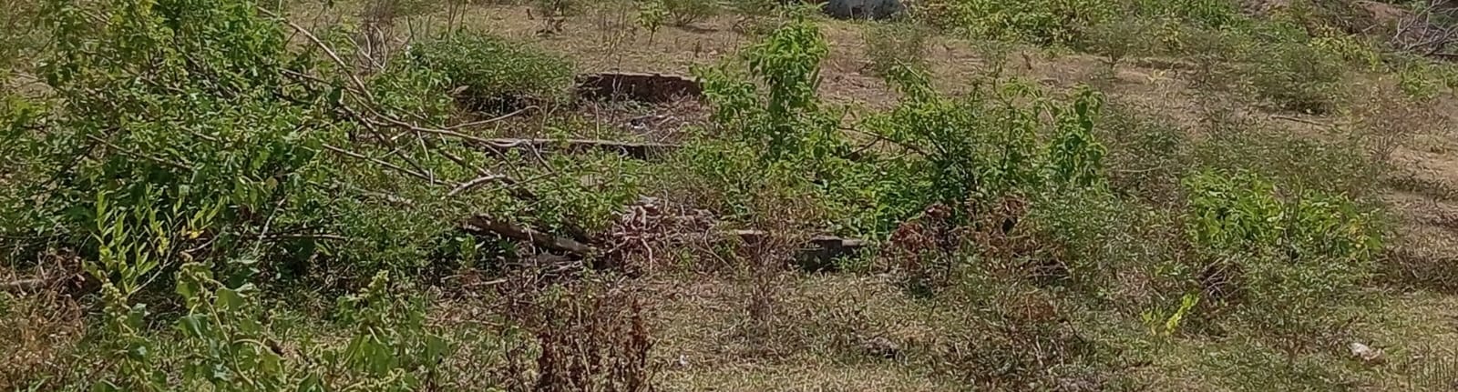 Land for Sale in Kilinochchi, Near Iranamadu Junction