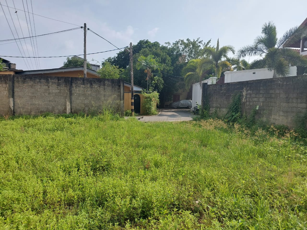 Land for Sale in Gothami Road, Borella