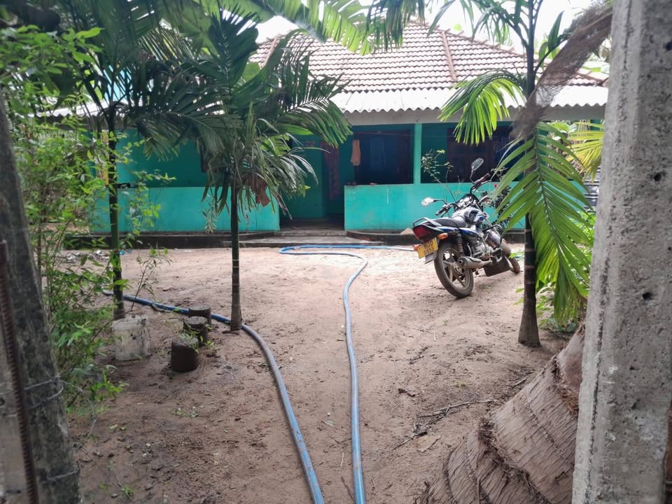 Shop, House, and Mill for Sale in Paranthan, Kilinochchi