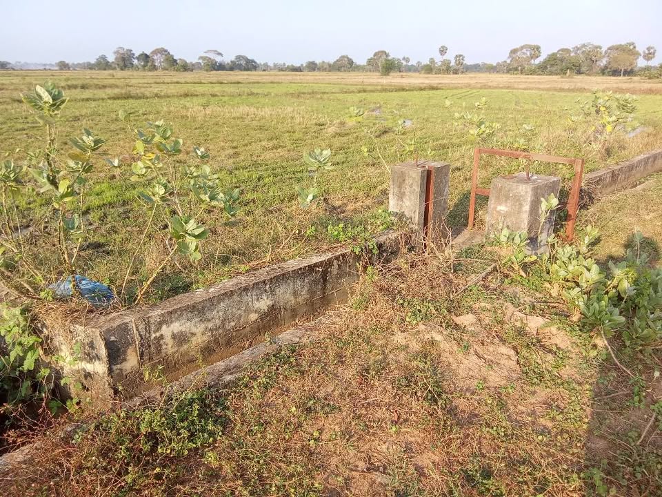 Paddy land for sale near Kili Govindan Shop Junction Kilinochchi