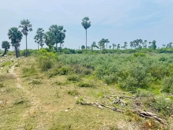 Land for Sale 8 km from Iyakachchi Junction (70 Acres)