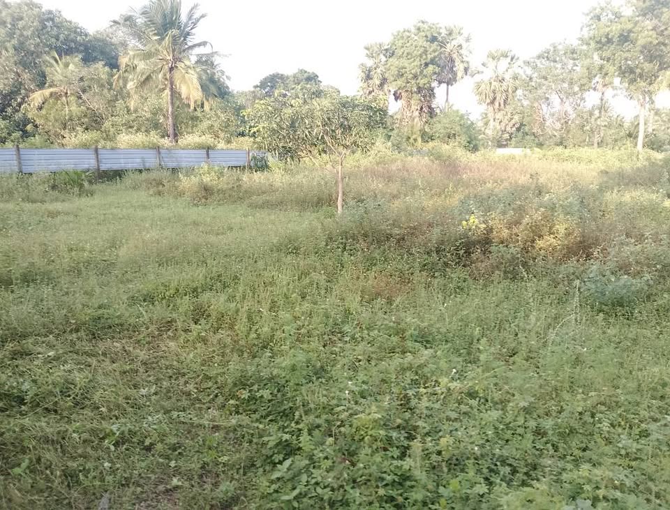 Land for Sale in Kilinochchi, A9 Road – 300 meters from the City