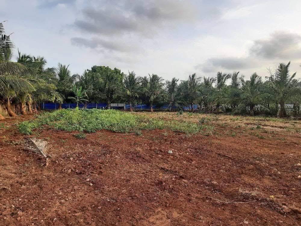 Red Soil Land for Sale in Thellippalai, Kollankaladdy