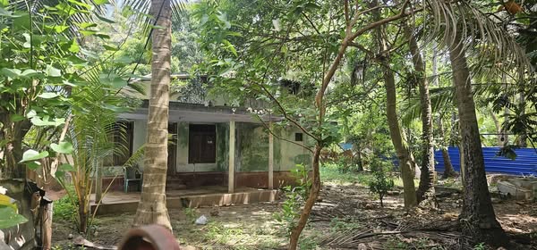 House with Land for Sale Near Manipay Town