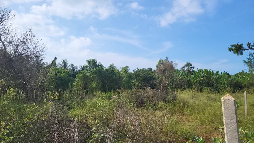 Land for Sale in Jaffna Mavittapuram