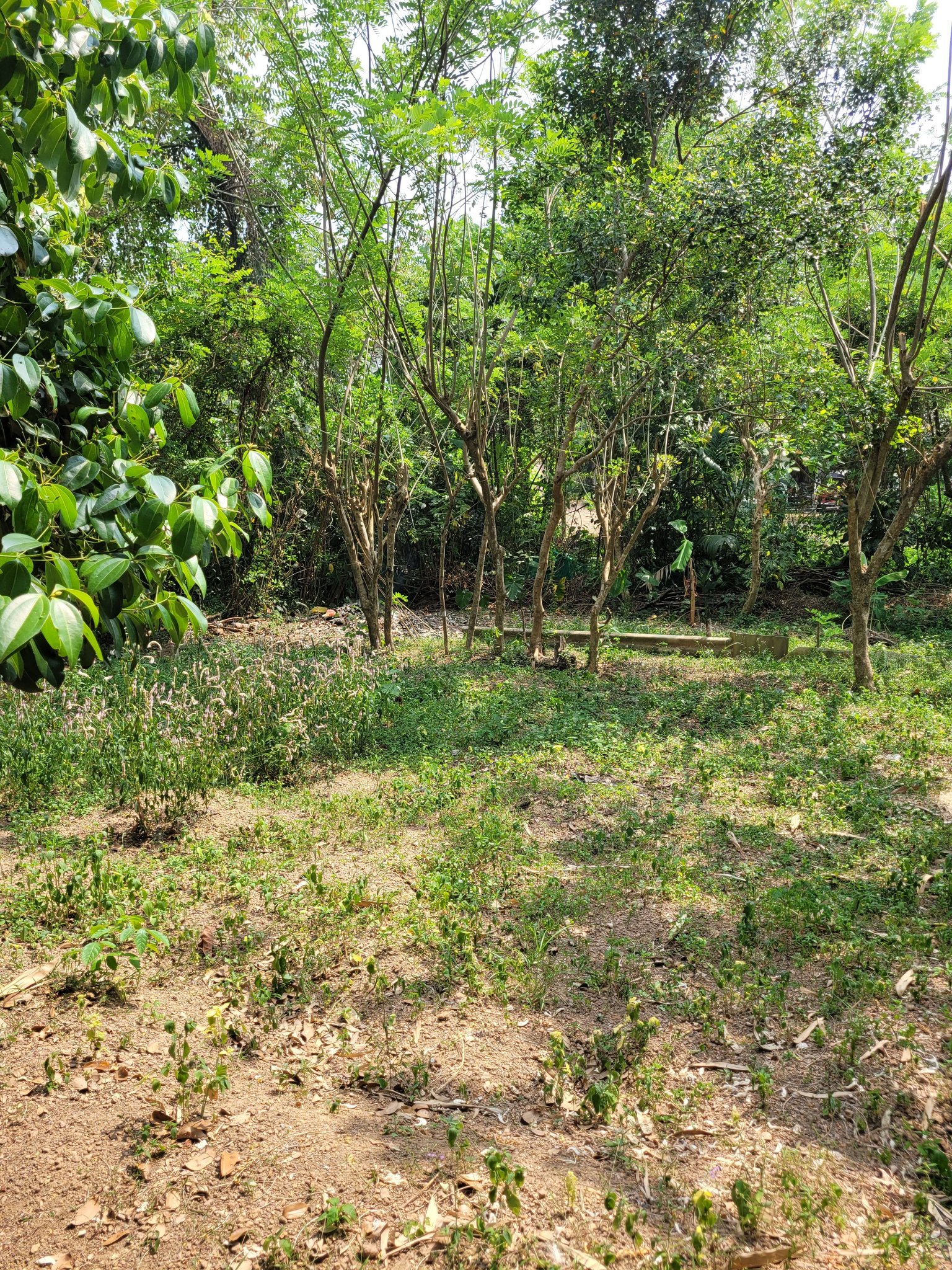 Valuable Land for Sale in Kadawatha