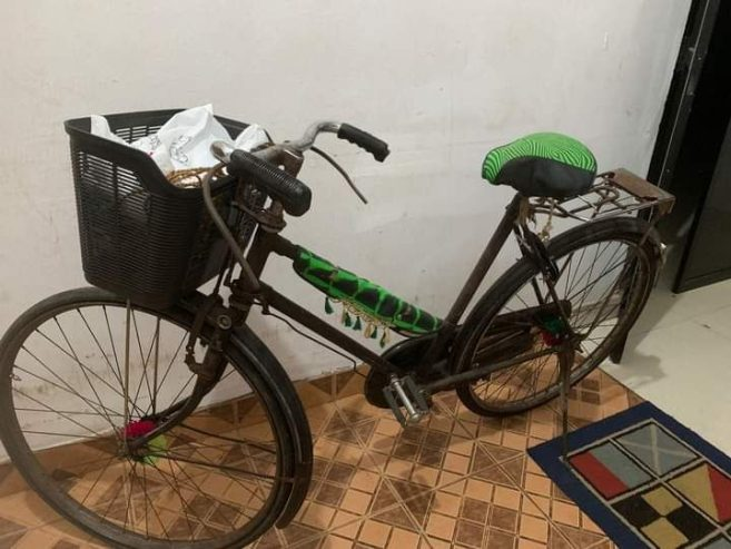 Lumala bicycle for sale