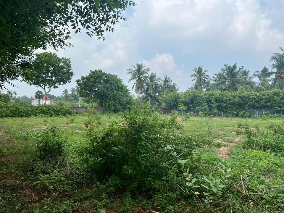 Land for sale at Jaffna Urumpirai