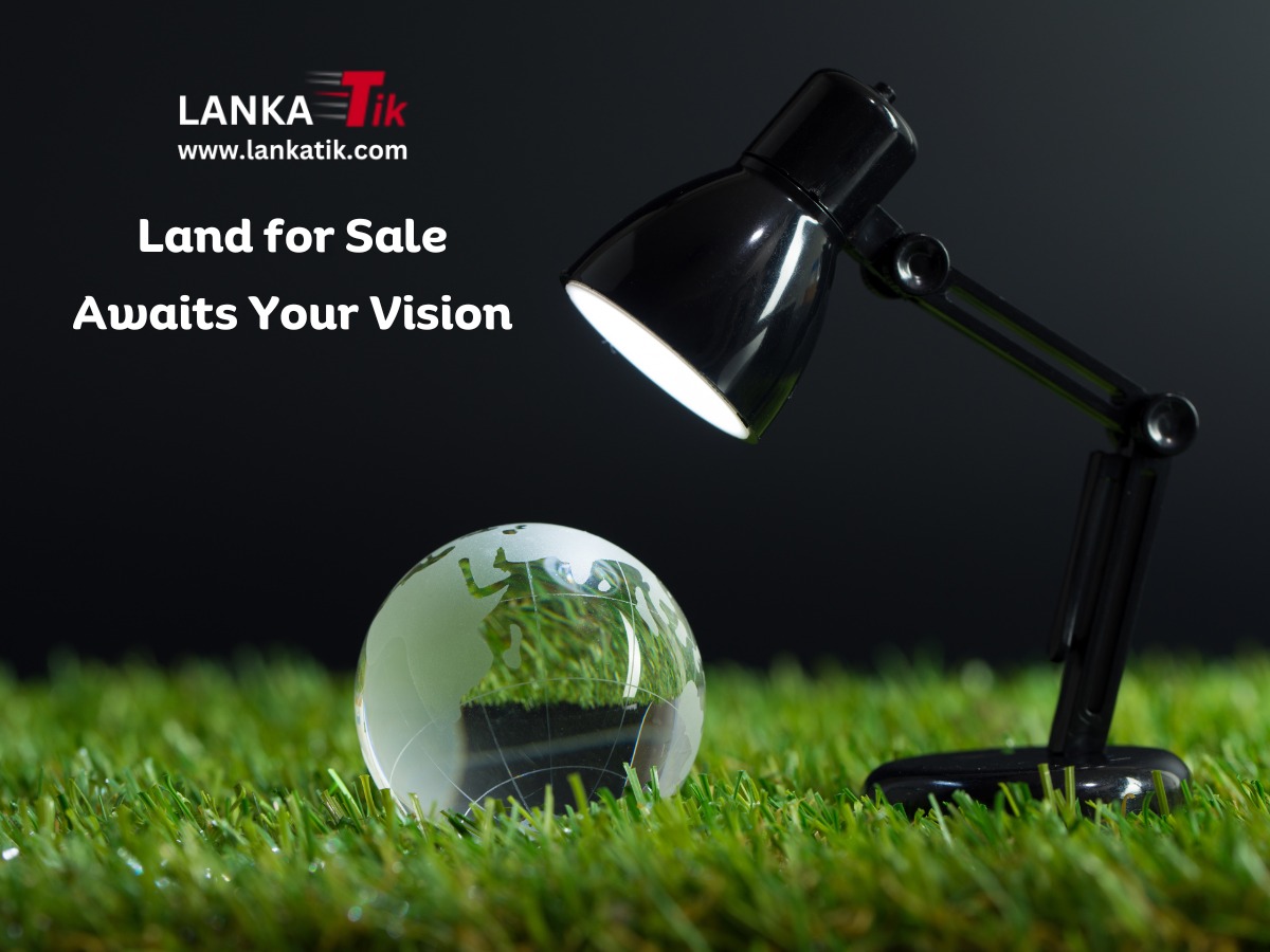 Land for Sale Awaits Your Vision